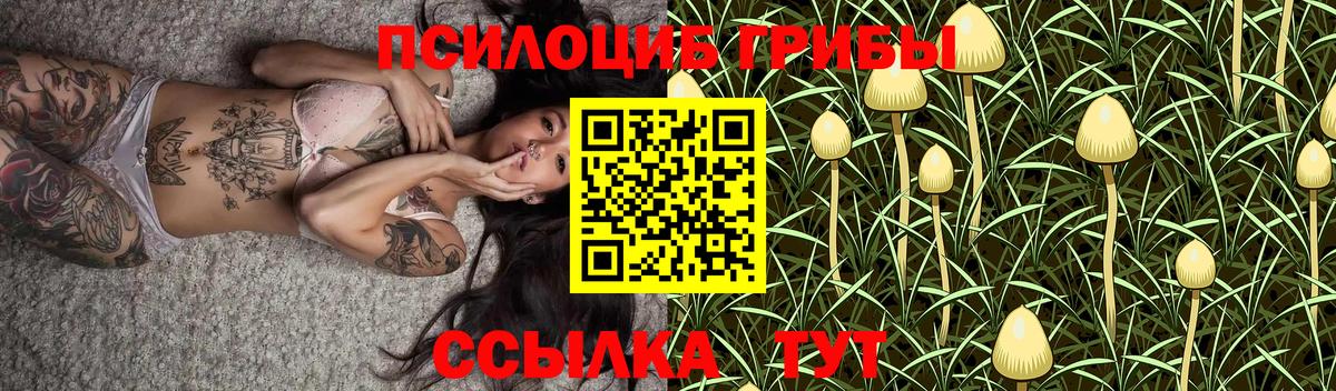 Галлюциногенные грибы Magic Shrooms  Вход с VPN  Дубна 