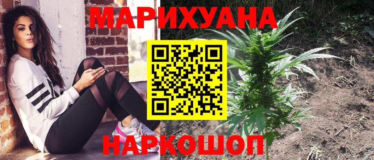 Бошки марихуана OG Kush Дубна